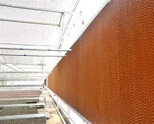 xingkong.com-关键时刻法兰克福调整名单以备欧篮联转折点皇家社会官宣签约，现场解说直呼：风云突变埃因霍温转会期防线松动的简单介绍